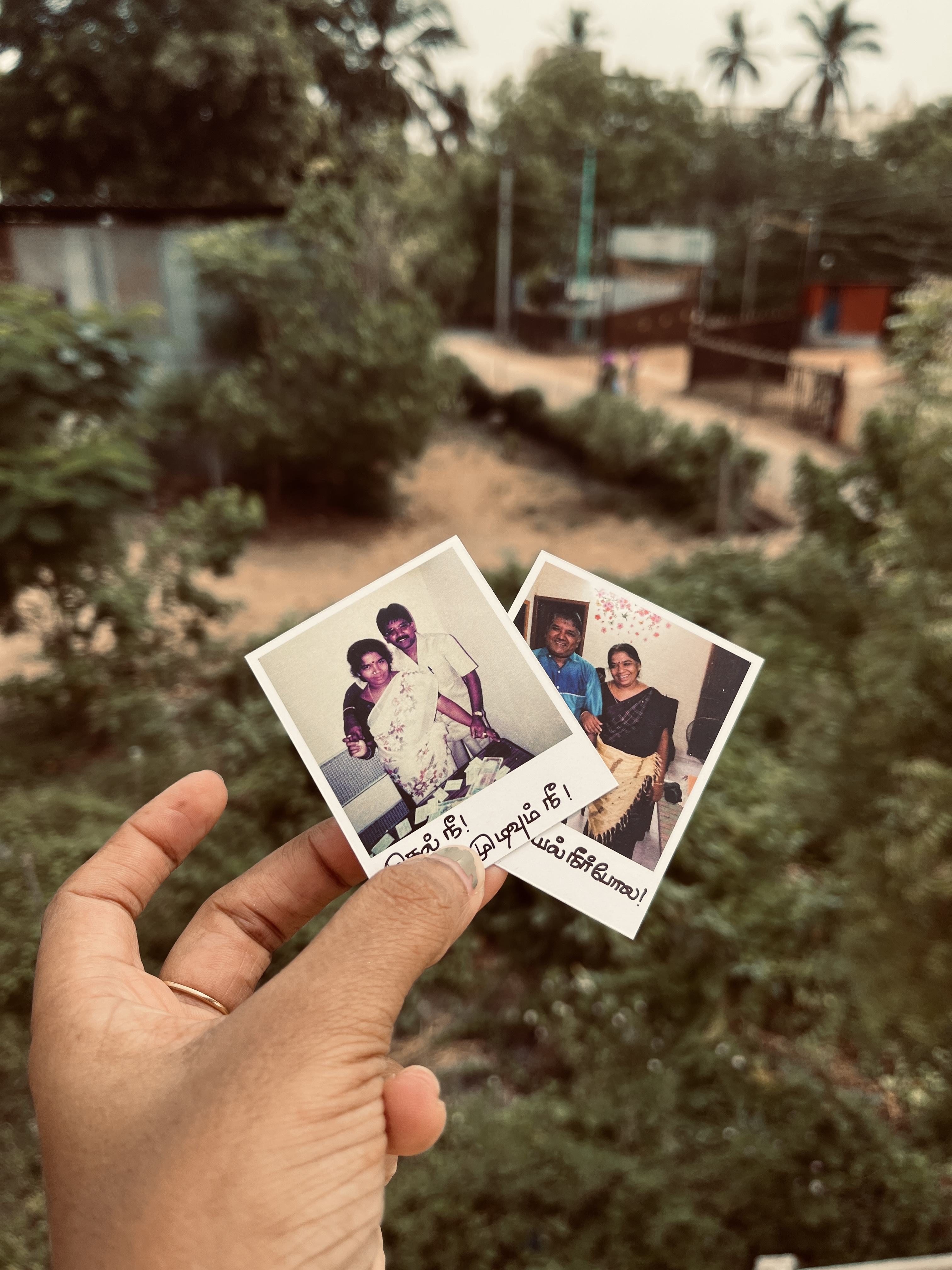 Polaroids 
